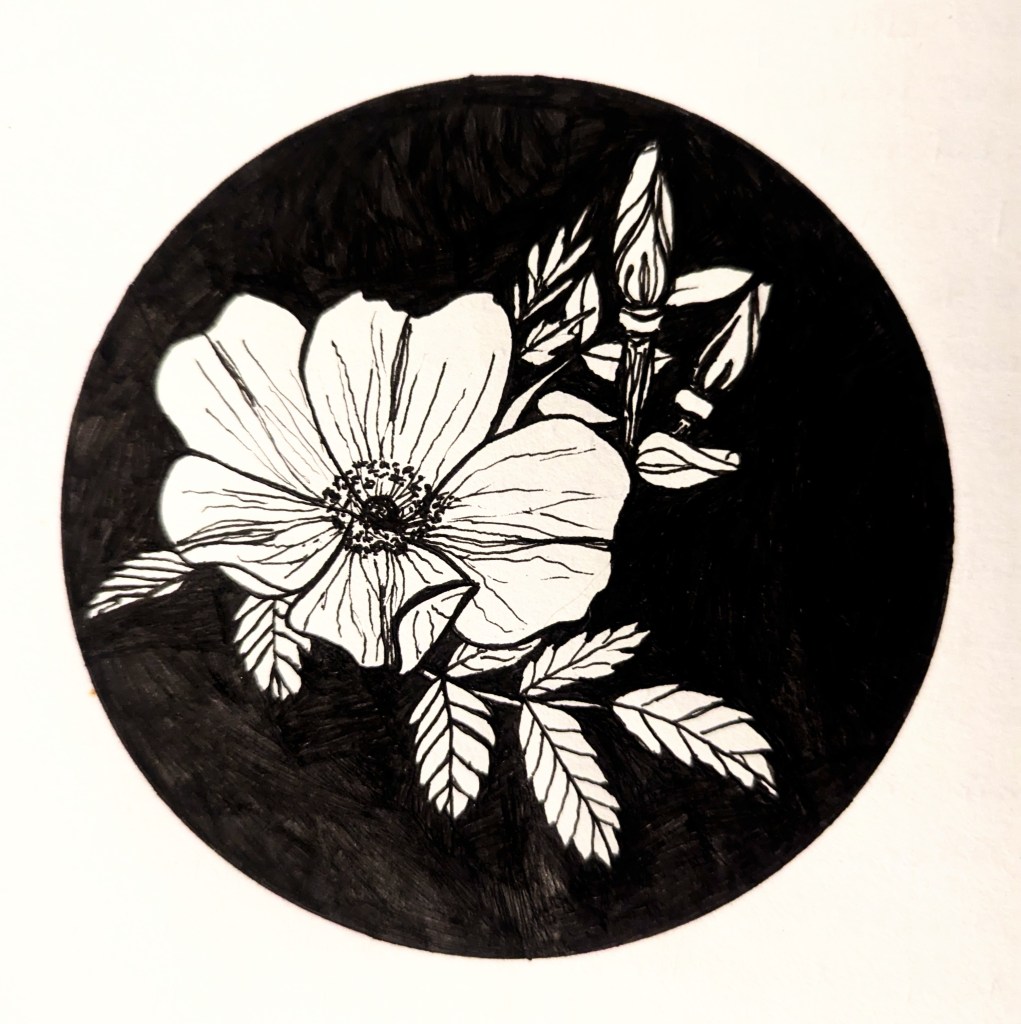Wild Rose